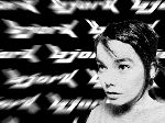 fecran.com| Des milliers de fonds d'écran et d'images - Musique > Solo > B > Bjork